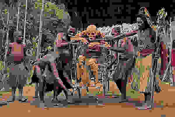 gouinea1.jpg