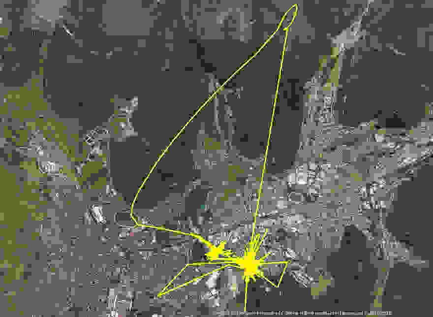 gps-tracker-cat-movement-map-lithgow-central-tablelands-local-land-services-3.jpg