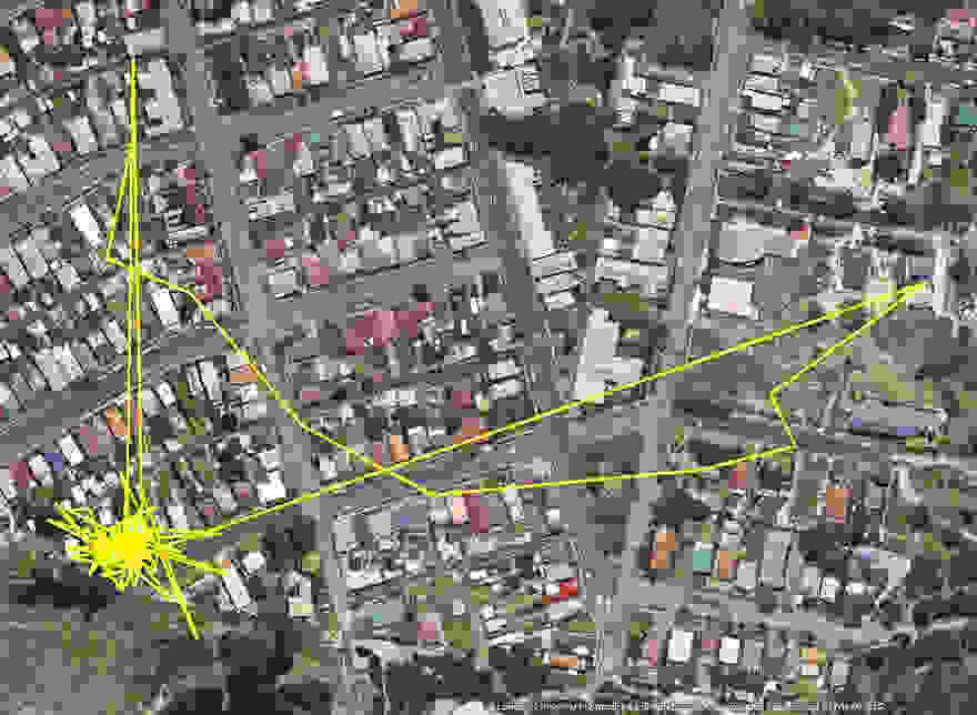 gps-tracker-cat-movement-map-lithgow-central-tablelands-local-land-services-5.jpg