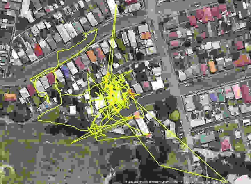gps-tracker-cat-movement-map-lithgow-central-tablelands-local-land-services-6.jpg