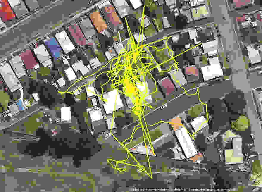 gps-tracker-cat-movement-map-lithgow-central-tablelands-local-land-services-7.jpg