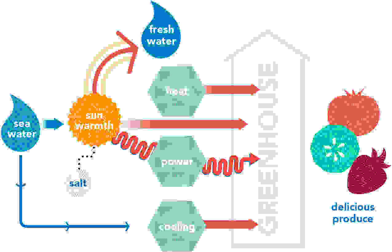 green-house.jpg