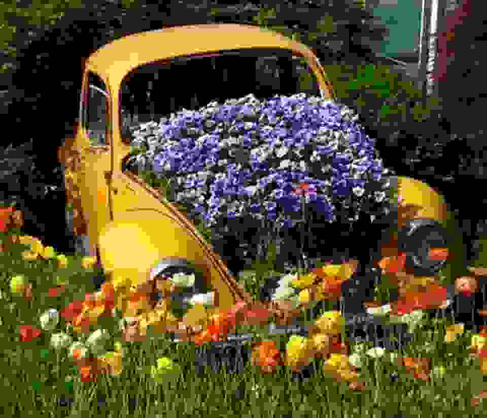 guerrilla-gardening-italia.jpg