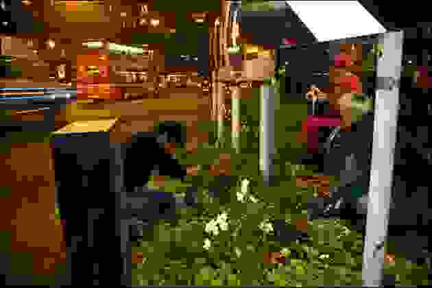 guerrilla03.jpg