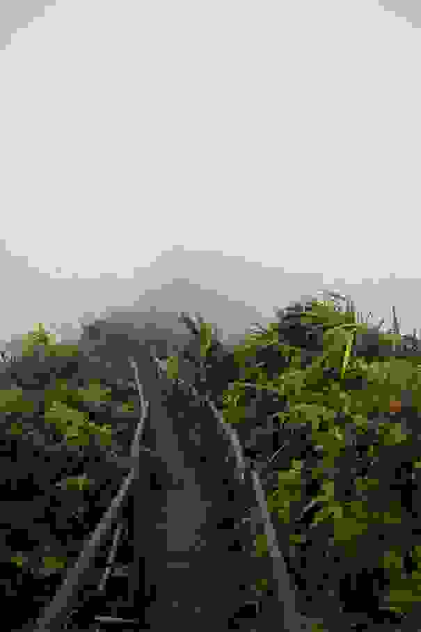 haiku-stairs-6.jpg