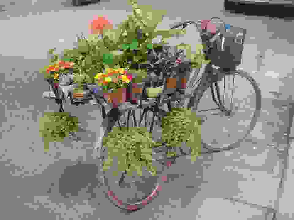 hanoi-vietnam-market.jpg