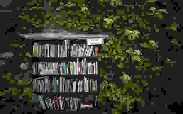 hay3_2527859b.jpg