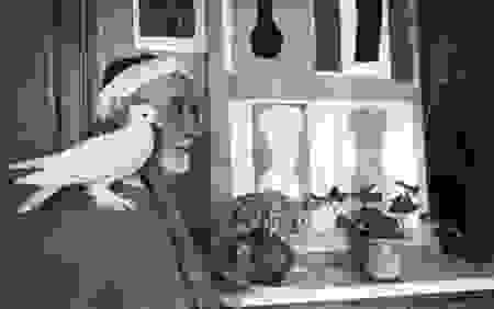 henri-matisse-by-cartier-bresson.jpg