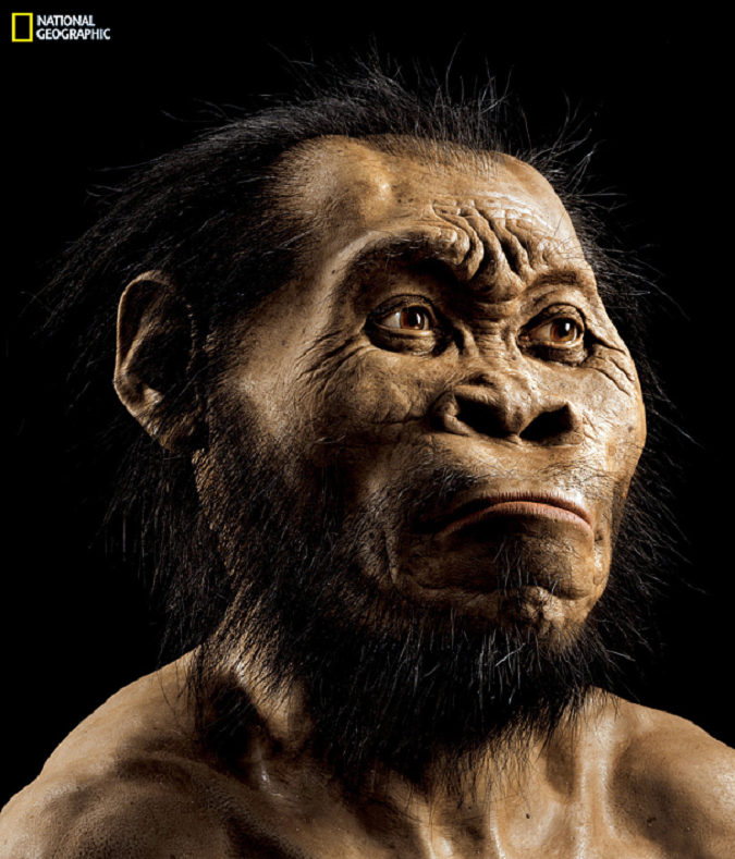 homo-naledi-2.png