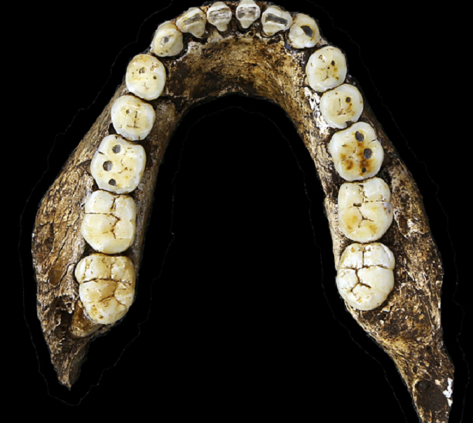homo-naledi-7.png