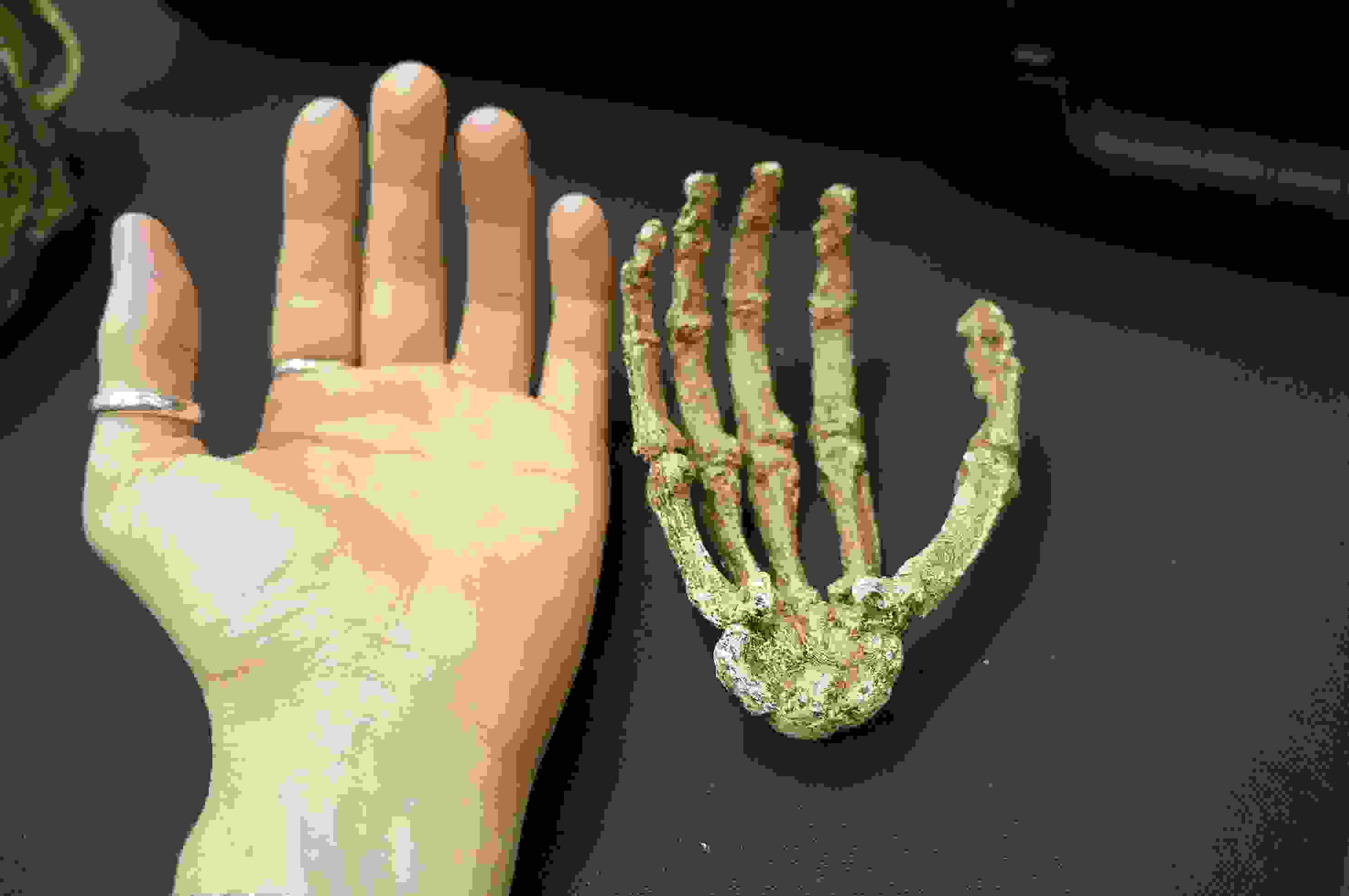 homo-naledi-9.jpg