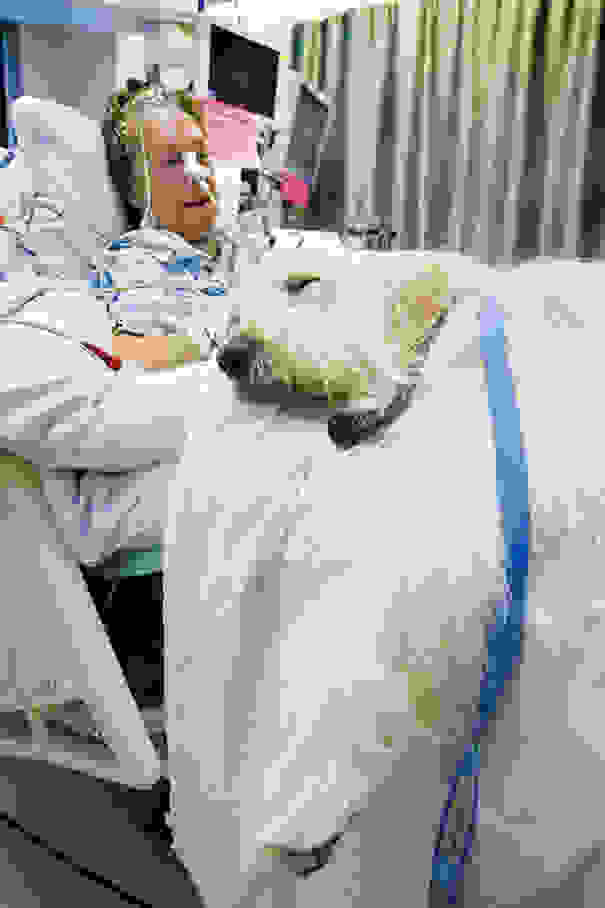 hospital-pets-allowed-animal-therapy-zacharys-paws-for-healing-juravinski-12.jpg