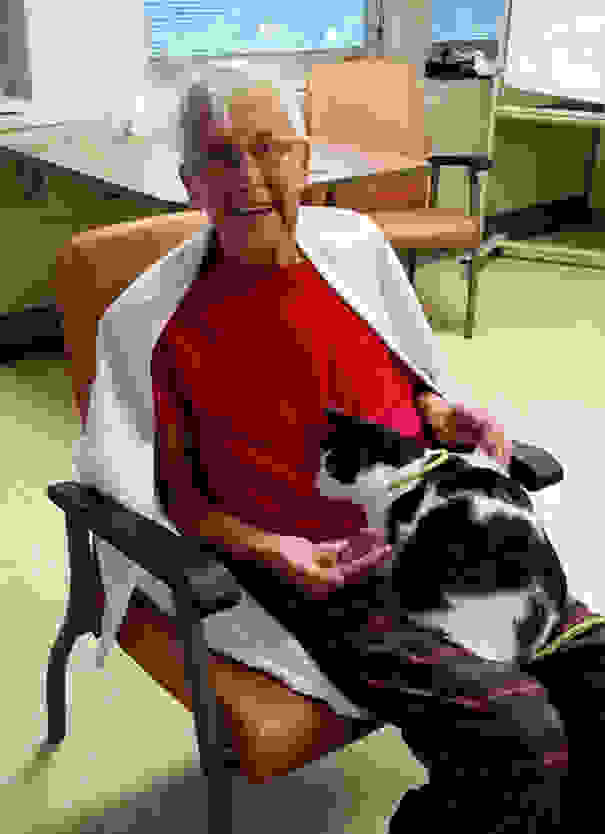 hospital-pets-allowed-animal-therapy-zacharys-paws-for-healing-juravinski-2.jpg