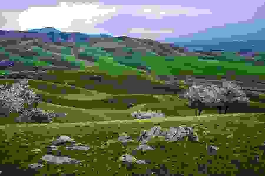 i-koilada-me-tis-verikokies-stin-kina1.jpg