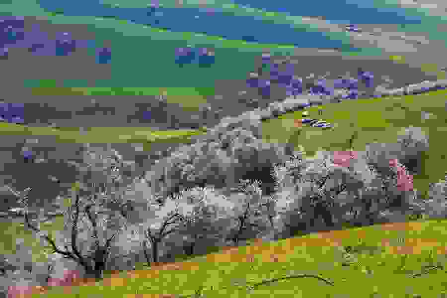 i-koilada-me-tis-verikokies-stin-kina113.jpg