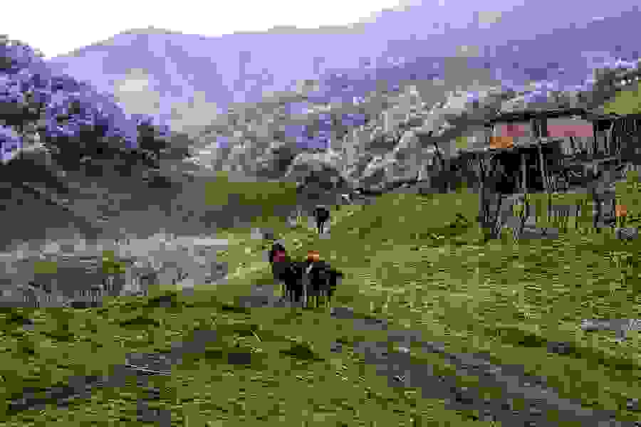 i-koilada-me-tis-verikokies-stin-kina17.jpg