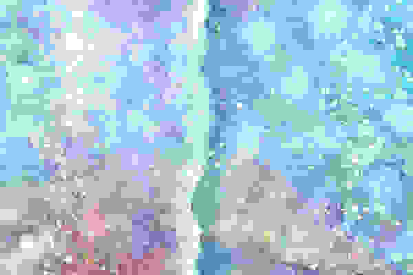 iris2.jpg