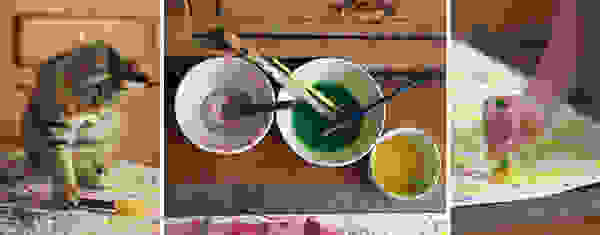 iris6.jpg