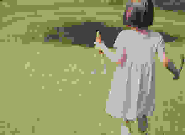 iris7.jpg