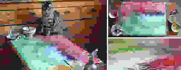 iris9.jpg