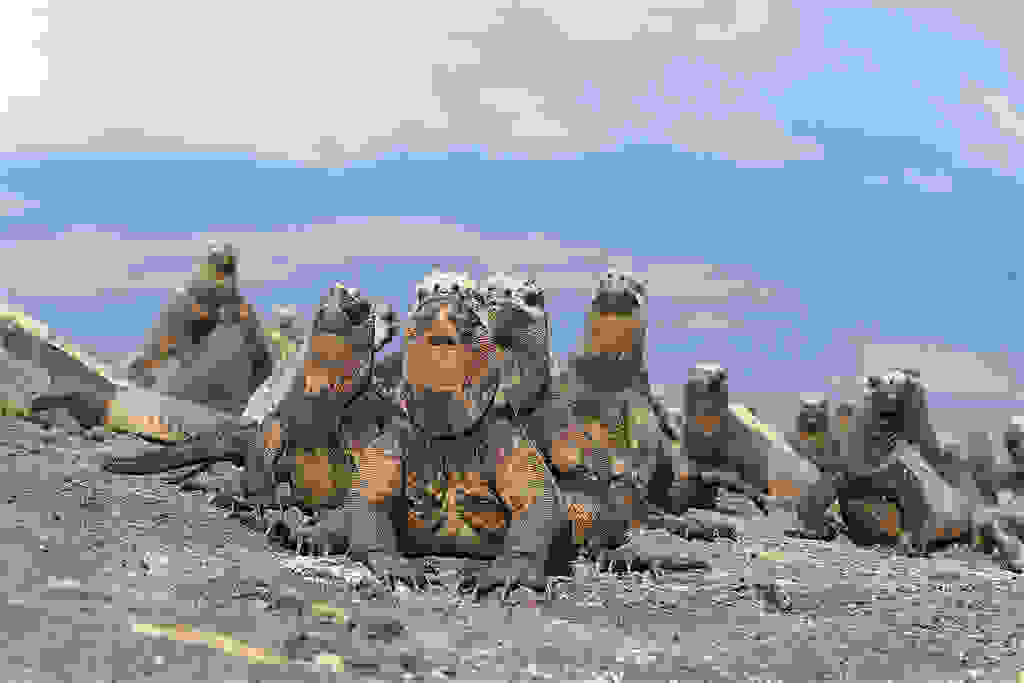 islas-galapagos-ecuador.jpg