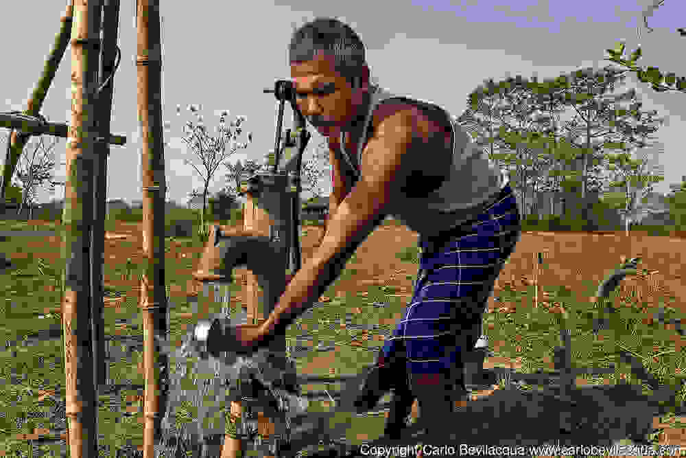 jadav-payang00.jpg