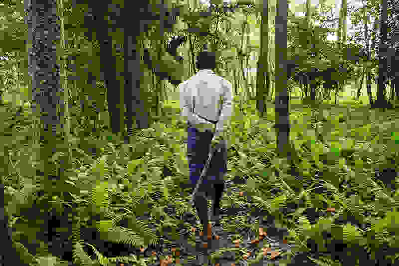 jadav-payang8.jpg