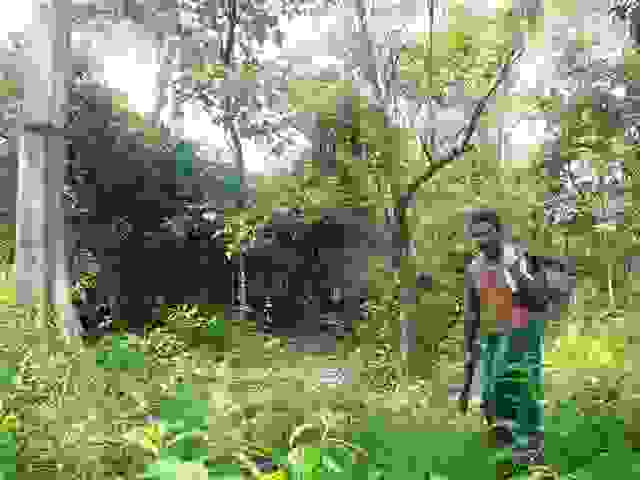jadav-payangWallpaper1.jpg