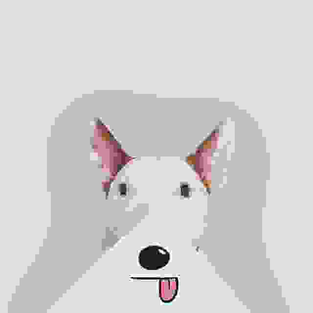 jimmy-choo-bull-terrier-illustrations-rafael-mantesso-6.jpg