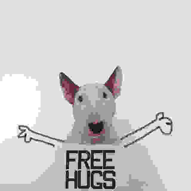 jimmy-choo-bull-terrier-illustrations-rafael-mantesso-8.jpg