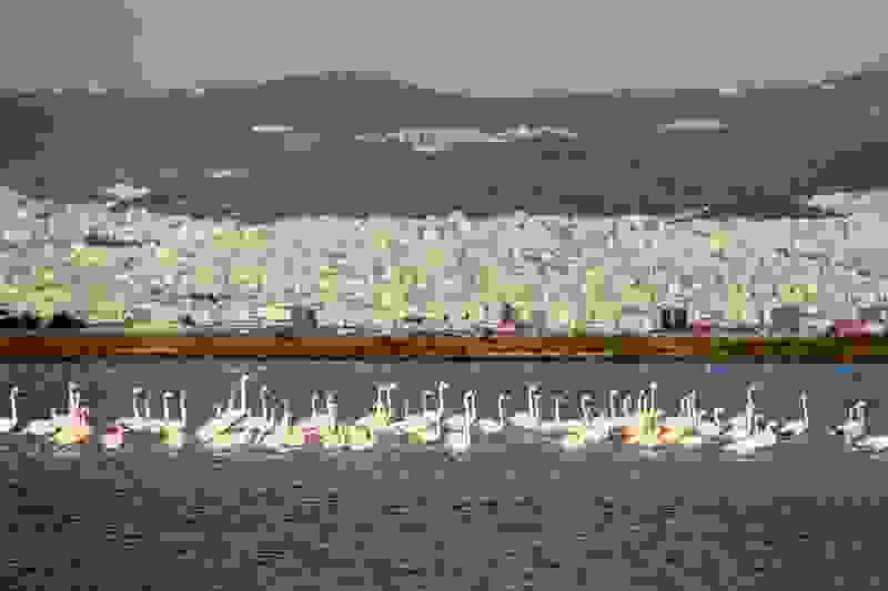kaloxori.jpg