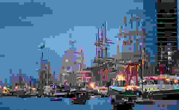 katartia1.jpg