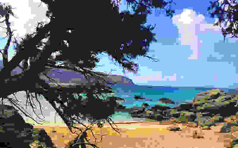 kedrodasos-0221.jpg