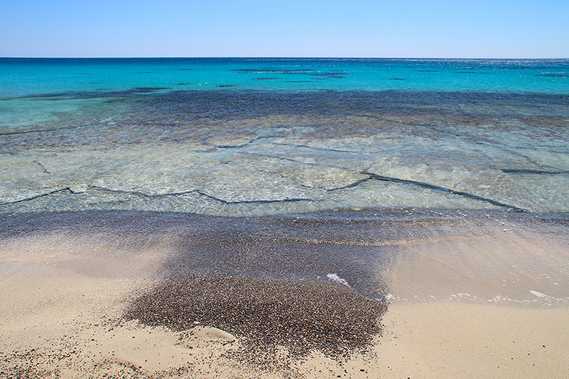 kedrodasos-elafonisi-chania.JPG