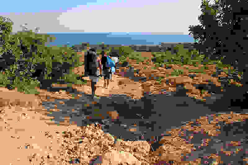 kedrodasos-path.jpg