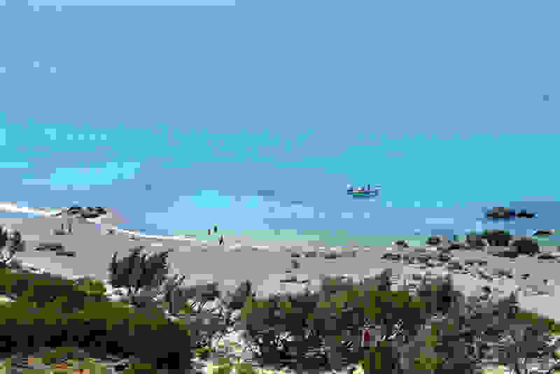 kedrodasos001.jpg