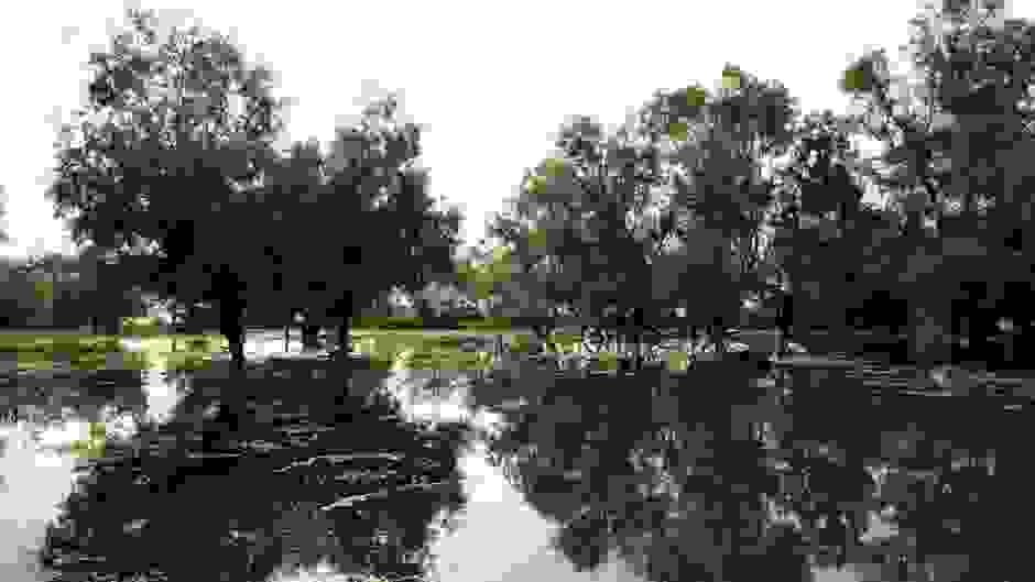 kerkini-88.jpg