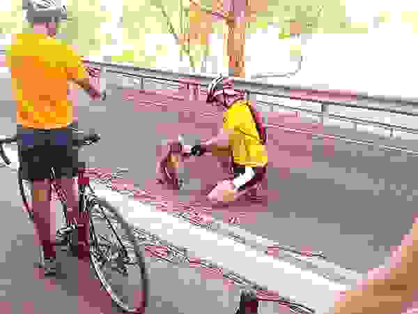 kindness5.jpg