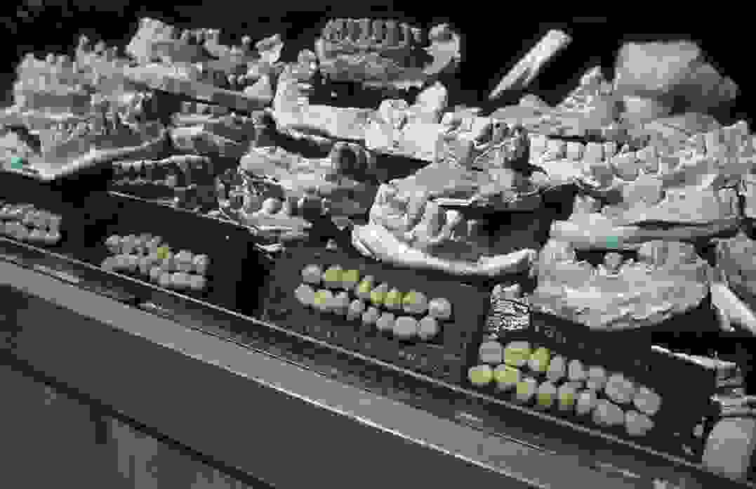 kowloon-walled-city-h-polh-tou-skotous89b.jpg