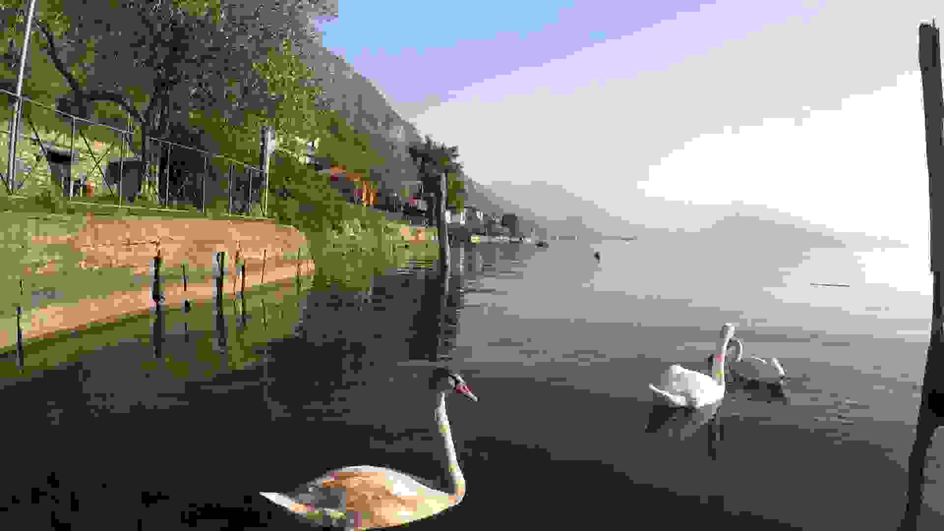 lake-iseo7.jpg