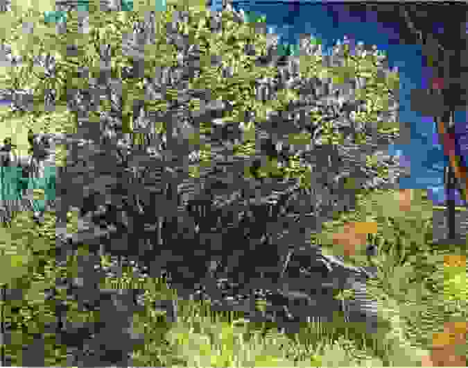 lilac-bush-1889.jpg