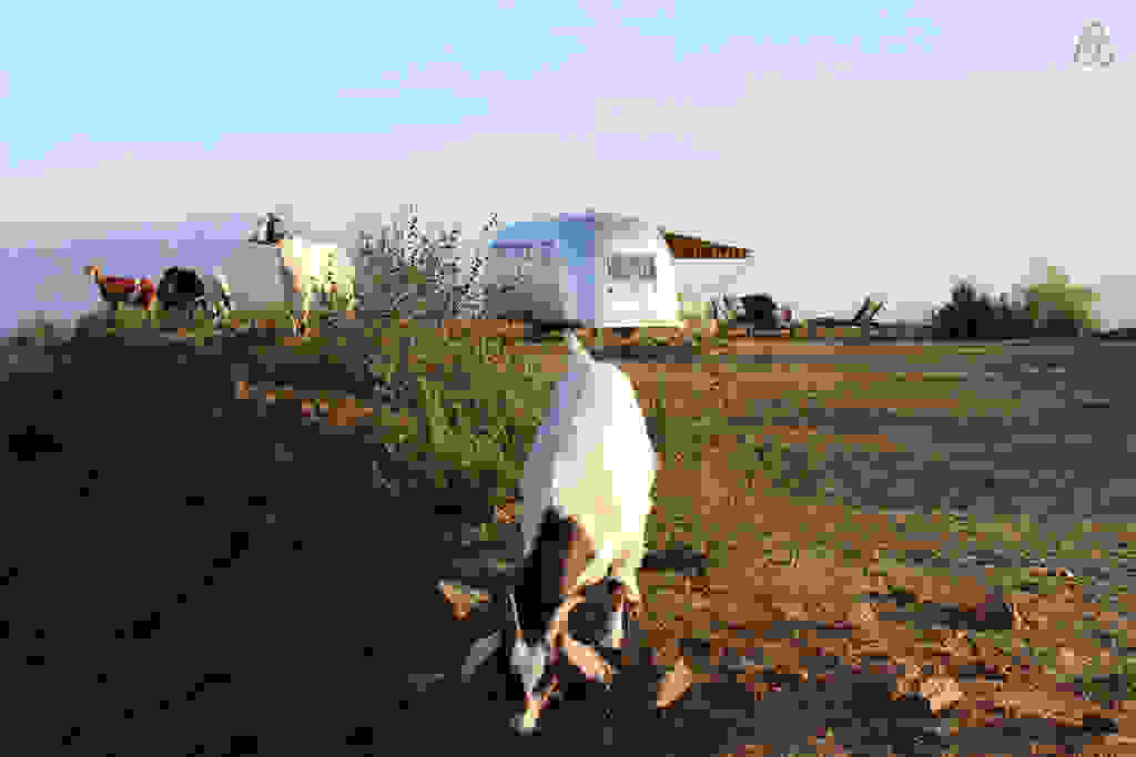 malibu12.jpg