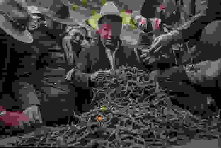 manitari10.jpg