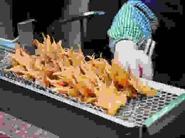 maple6.jpg