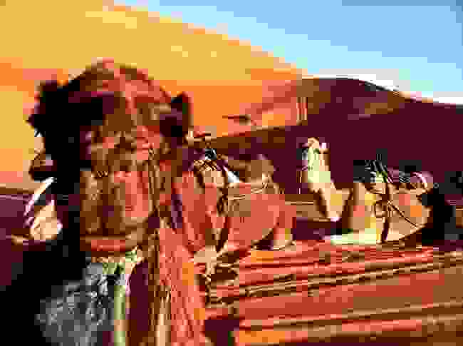 maroko-xromata9.jpg