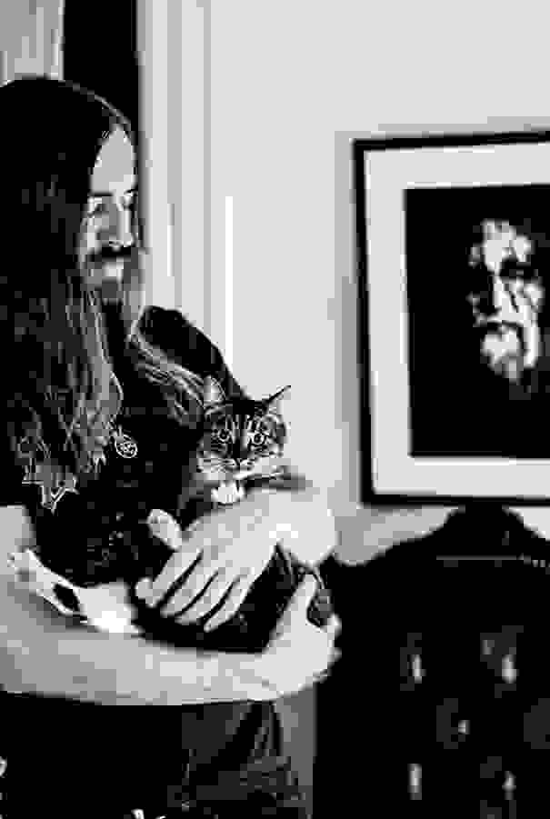 metal-cats-alexandra-crockett-4.jpg