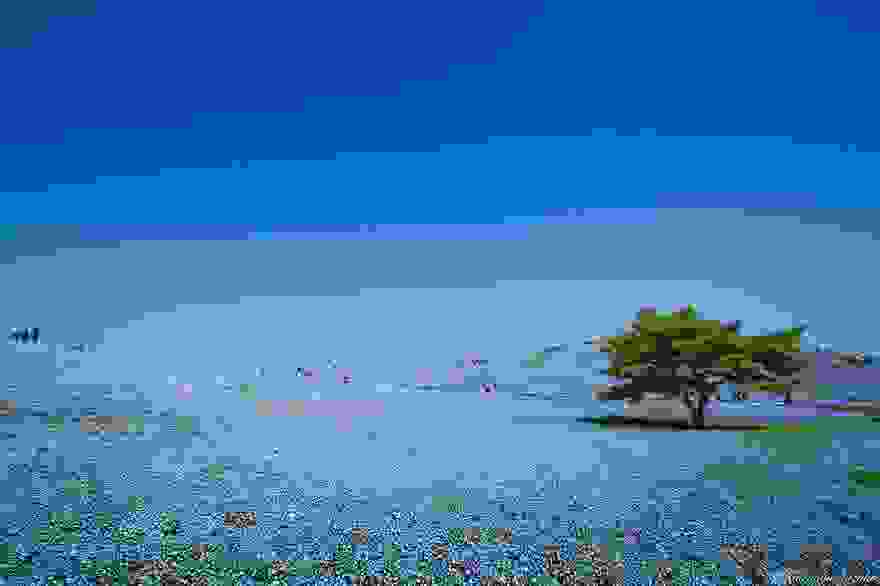 mia-thalassa-louloudion0.jpg