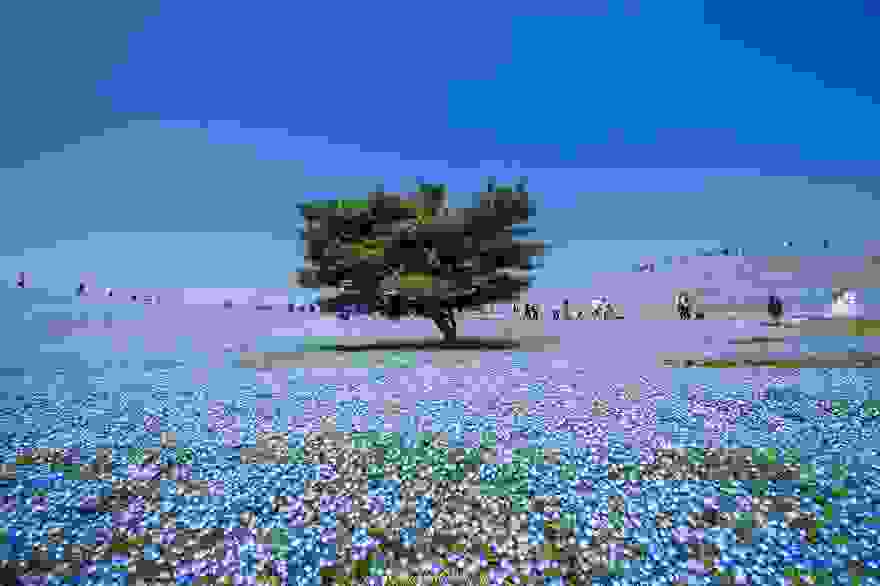 mia-thalassa-louloudion5.jpg