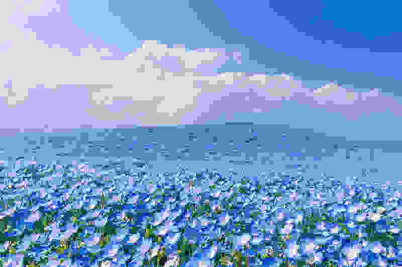 mia-thalassa-louloudion7.jpg