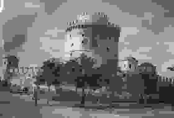 lefkos5